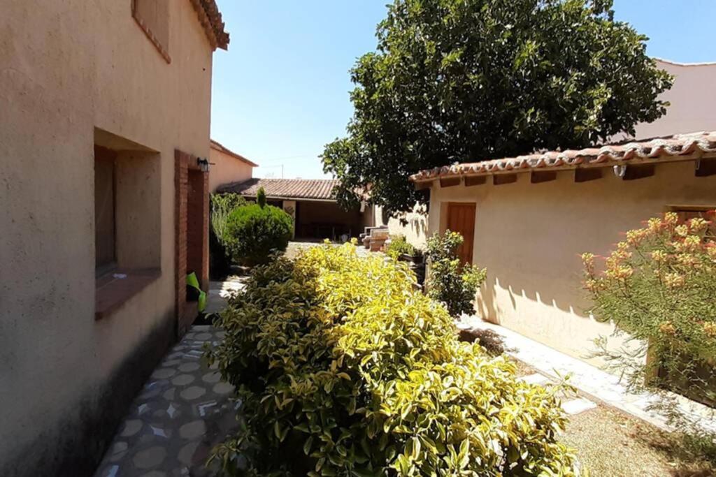 Casa Rural La Paloma - Zamora Manganeses de la Lampreana Zewnętrze zdjęcie